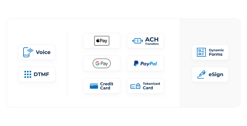 payment options for voice, apple pay, and more